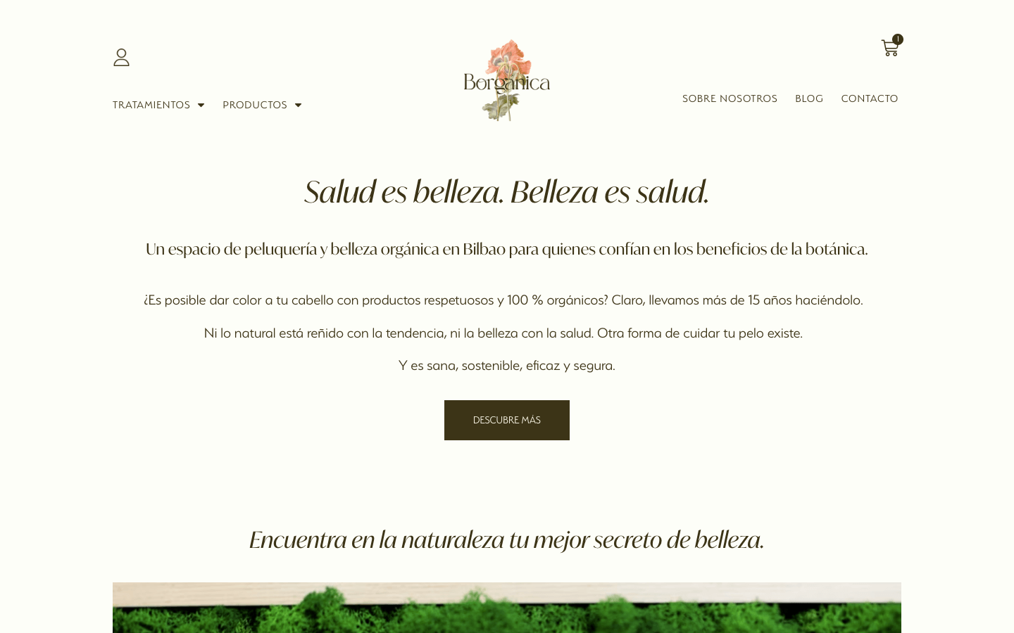 Proyectos 13 borganica eco home desktop